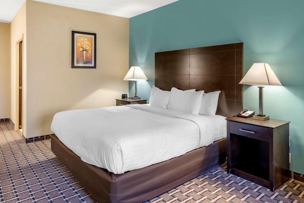 Comfort Suites Image 24